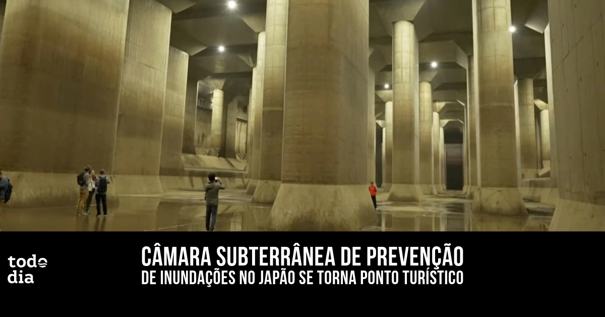 Câmara subterrânea de prevenção de inundações no Japão se torna ponto turístico 