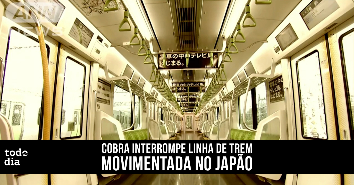 Cobra interrompe linha de trem movimentada no Japão 