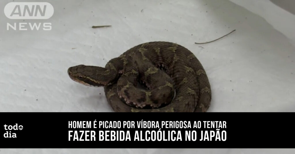 víbora
