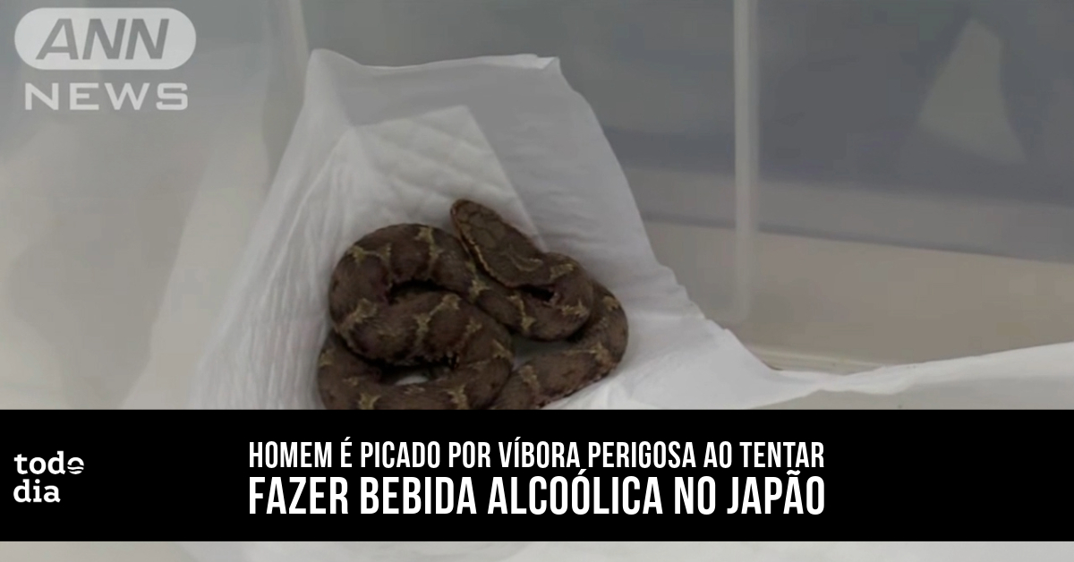 Homem é picado por víbora perigosa ao tentar fazer bebida alcoólica no Japão 
