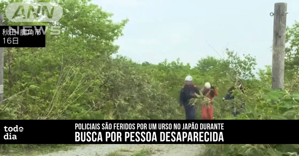 urso