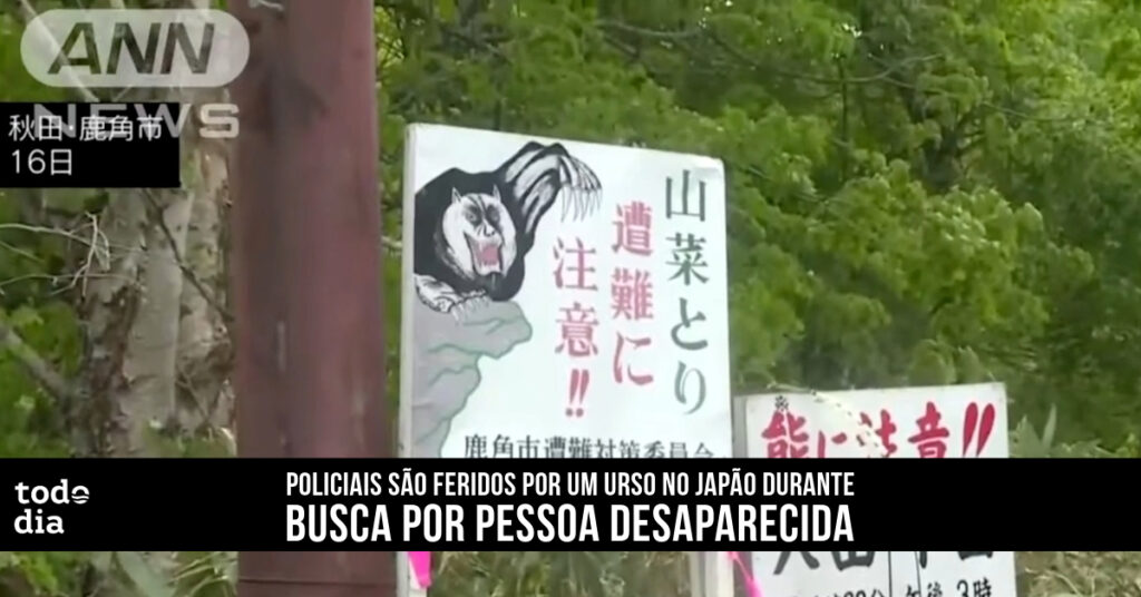 urso