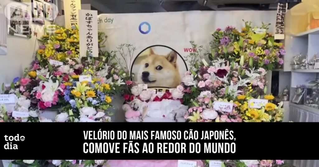 cão