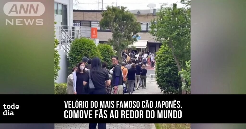 cão