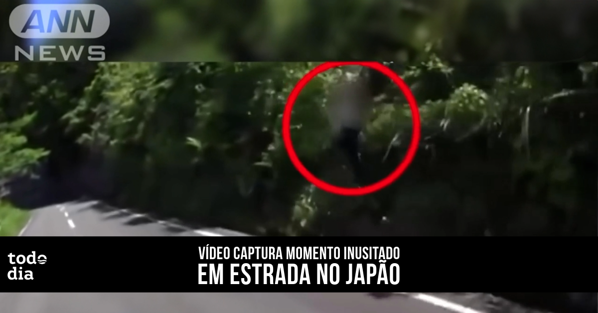 Vídeo captura momento inusitado em estrada no Japão 